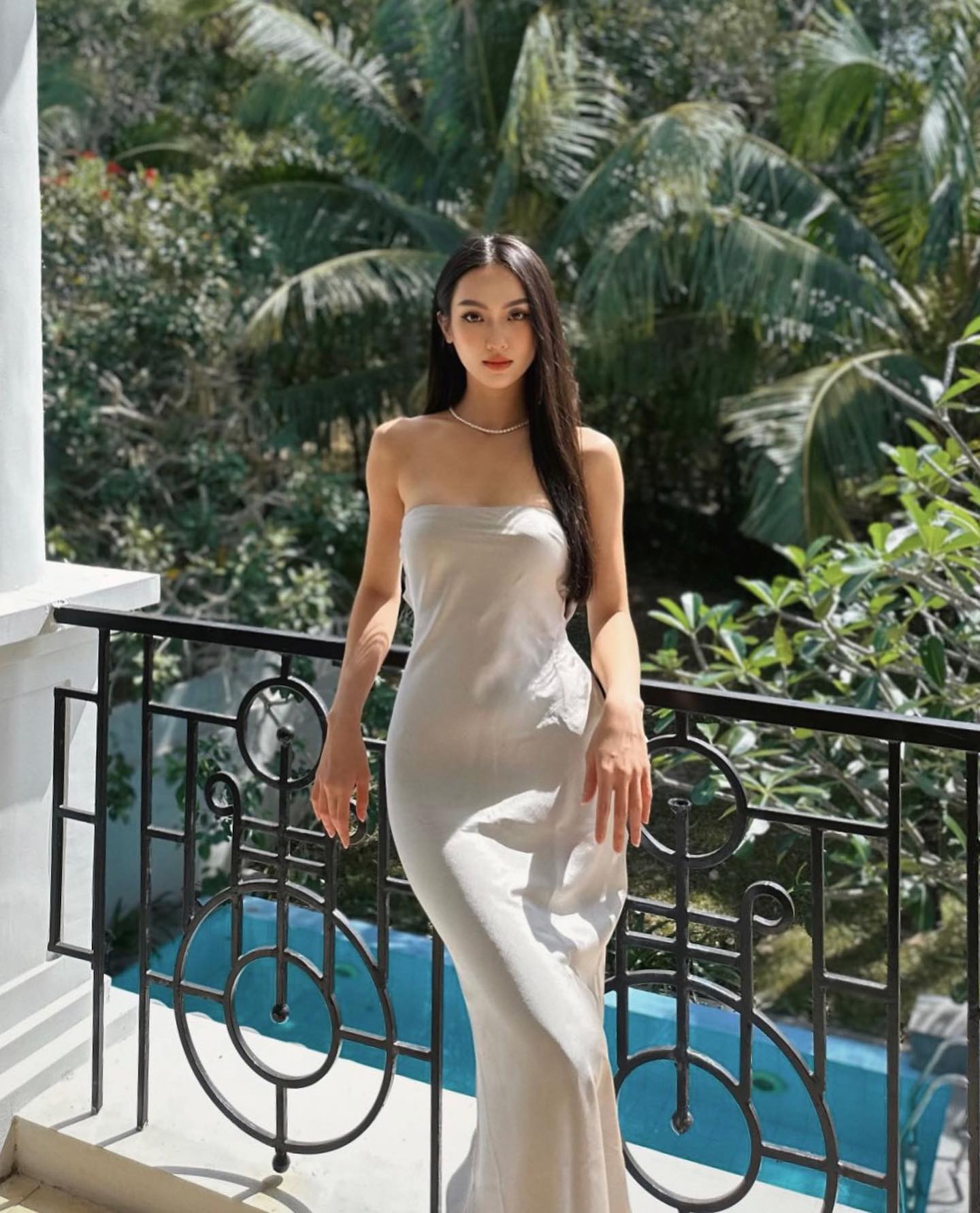 Kisserine "belle" apricot