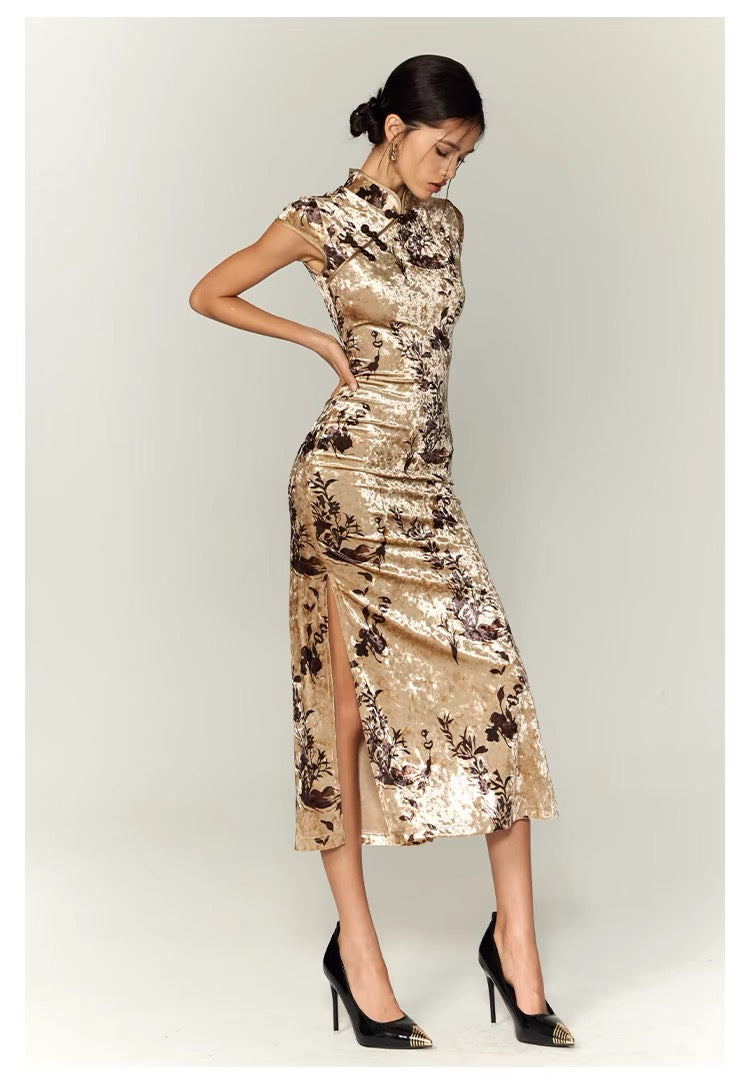 FINDYAWINGS Golden Time