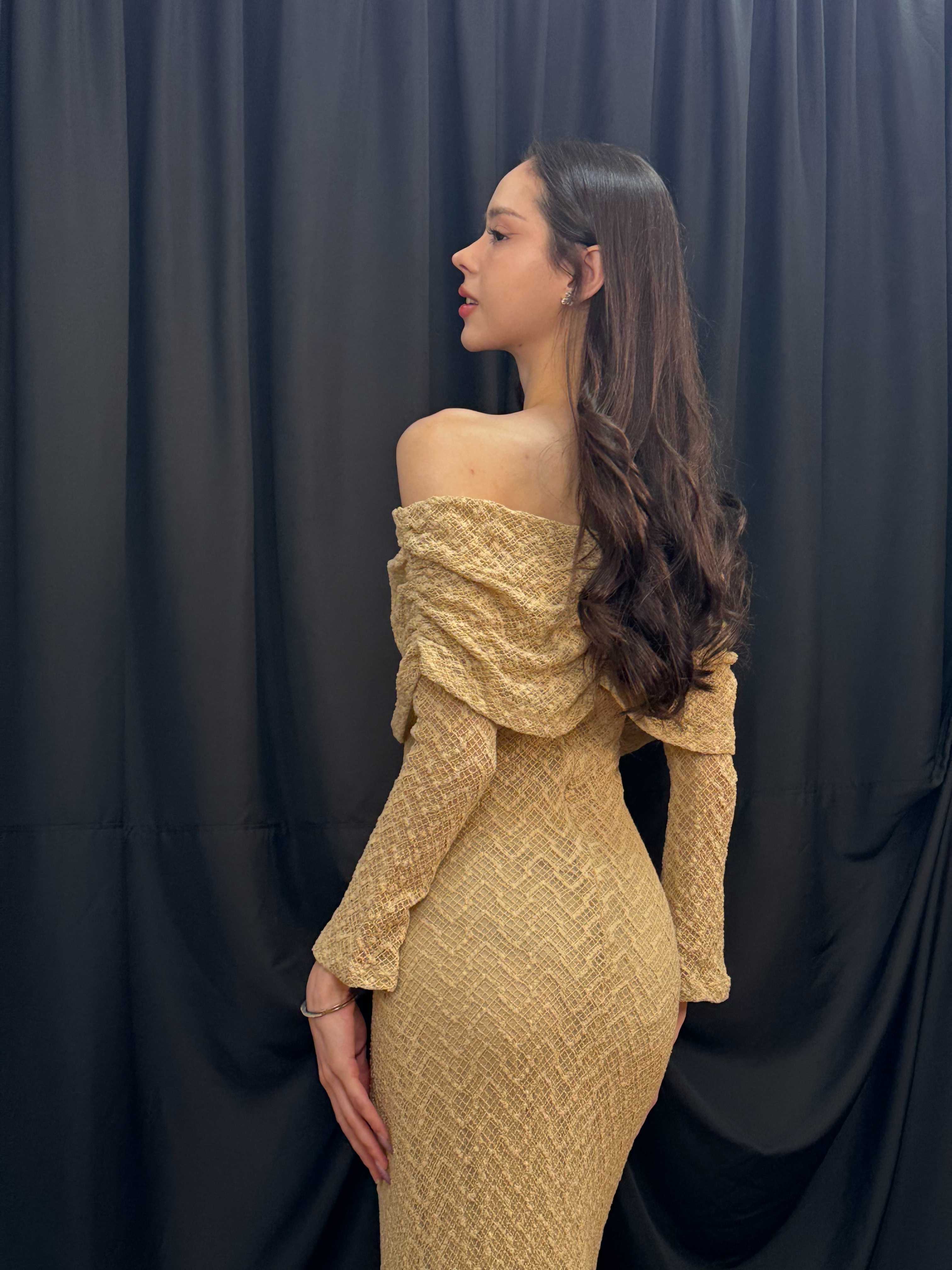 TC.store Verona Dress (2color)
