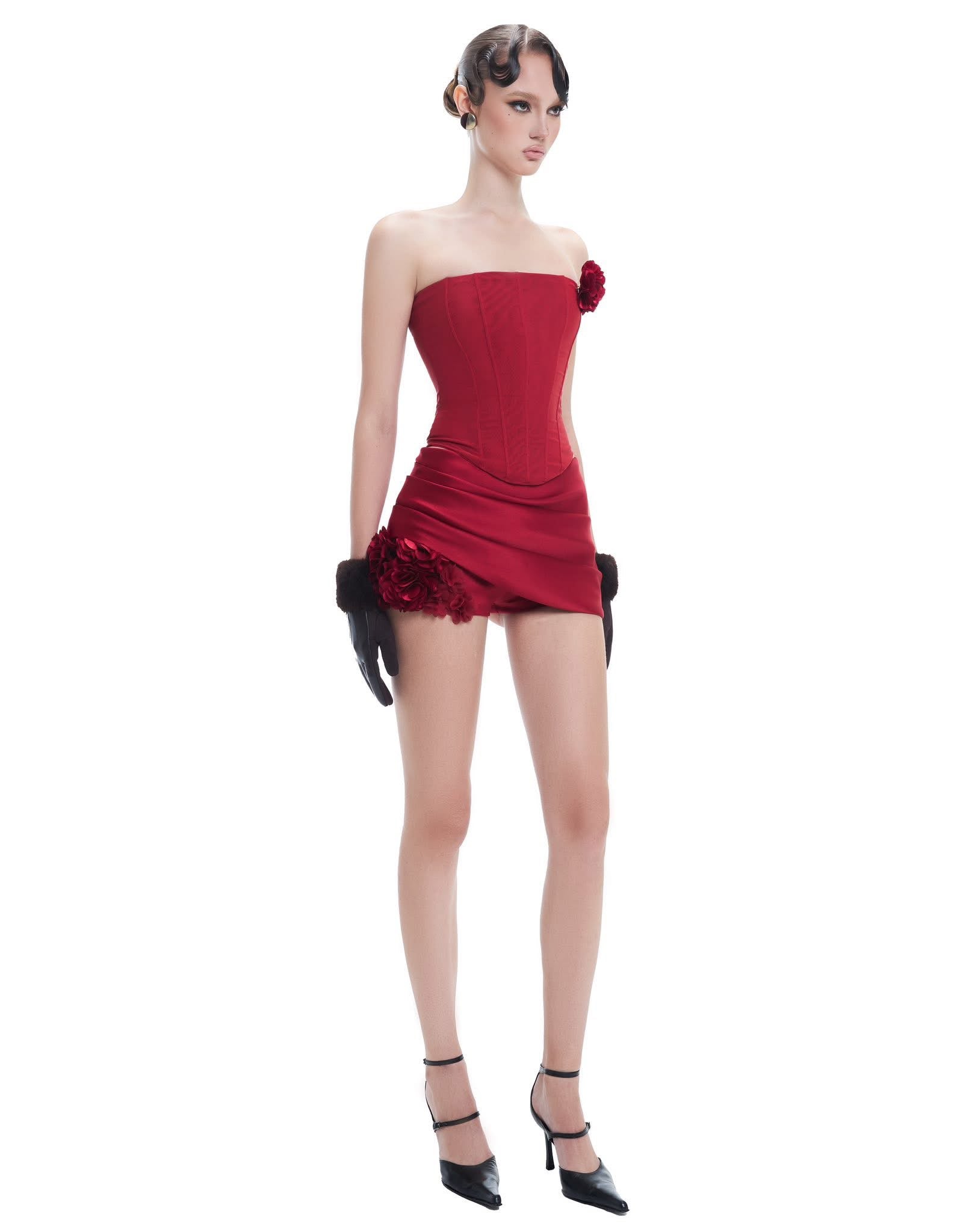 FFSD Syna Corset & Rose Skirt