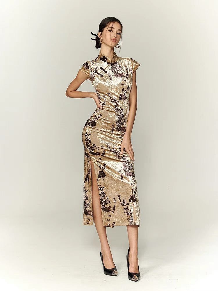 FINDYAWINGS Golden Time