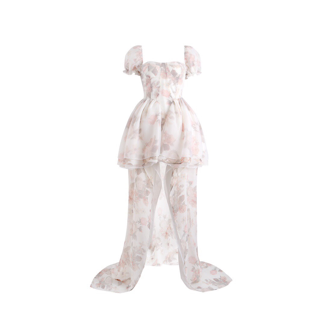 Jean Soo PAINTING ROSE MINI DRESS(removable tail)