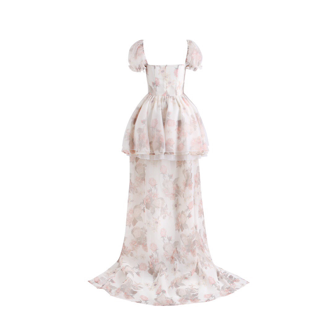 Jean Soo PAINTING ROSE MINI DRESS(removable tail)