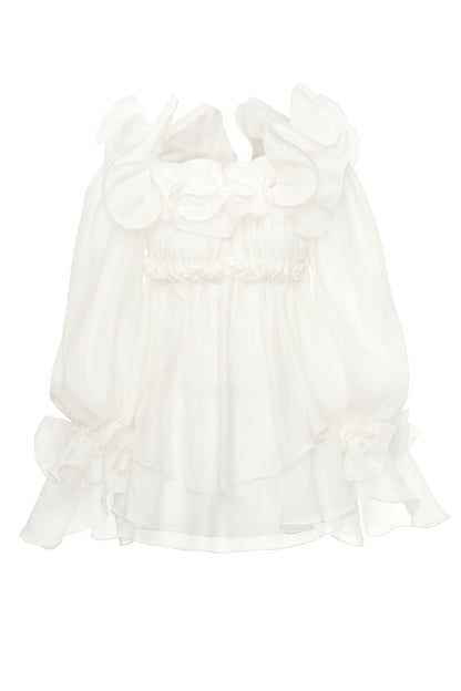 DATT ECUADOR ROSE SET