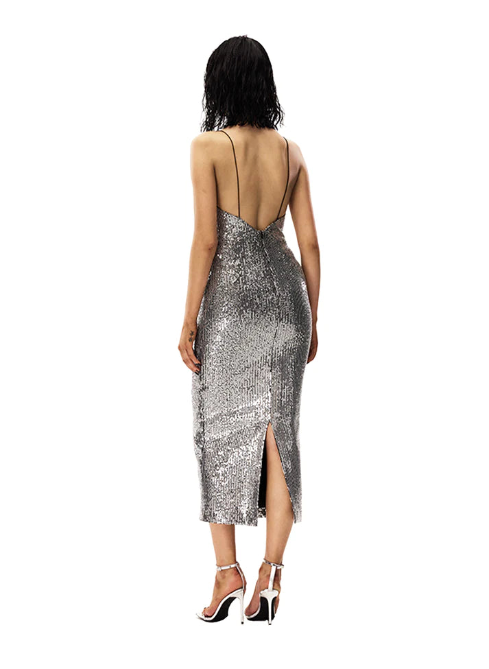 Taglioni Sequins V-Neck Fitted Dress