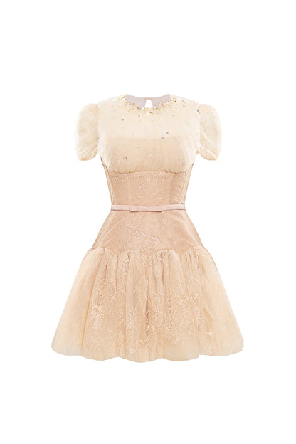 Calista SABINE Lace-detail Tulle Mini Dress