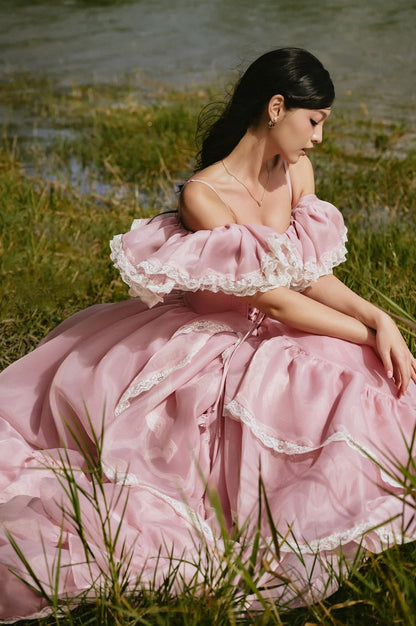 Sissy CharlotteGown Dress