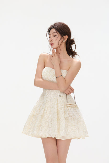 CYNR CY260434DSY Embroidered floral lace fluffy dress
