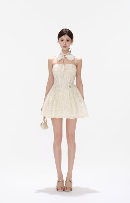 CYNR CY260434DSY Embroidered floral lace fluffy dress