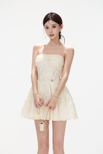 CYNR CY260434DSY Embroidered floral lace fluffy dress