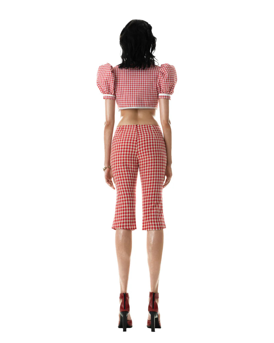Huelleyrose SALE RHODA GINGHAM CARPI PANTS