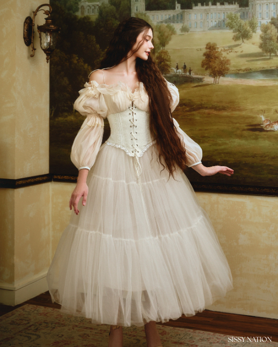 Sissy Love Story Corset top or skirt
