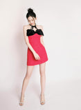 Masion Wester Rose Red Velvet Diamond Dress