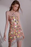 Wardrobes by chen 3D Flower Tassels mini dress